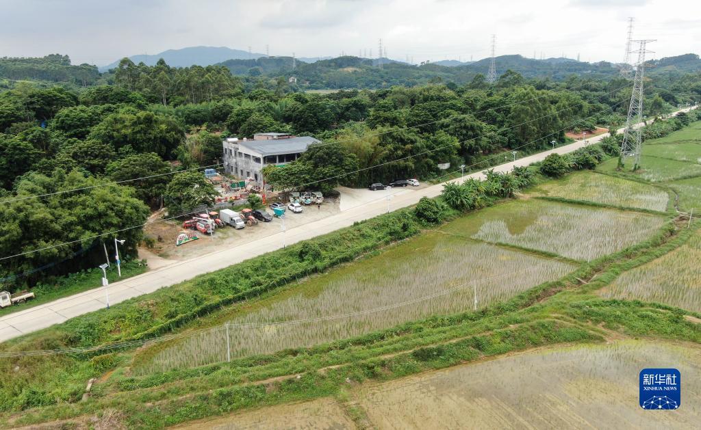 网上斗牛如何挣钱